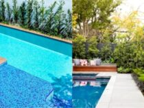 Maximizing a Small Backyard Pool: Smart Design Ideas