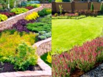 Avoiding Common Fall Landscaping Blunders