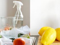 Citrus-Powered Cleaning: Fresh and Effective Methods