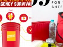 Survival Kit Must-Haves: Essential Items to Include