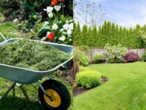 Instant Lawn and Garden Boosts: Quick and Effective Tips