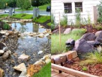 Constructing a Rain Garden: Benefits and How-To Guide