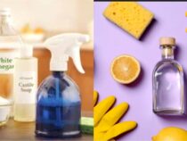 Common Natural Disinfectants You Likely Have
