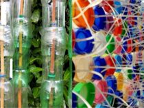 Innovative Uses for Repurposing Old Bottles
