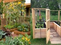 Creative DIY Vegetable Garden Ideas