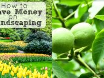 15 Money-Saving Benefits of Landscaping (Part 1)
