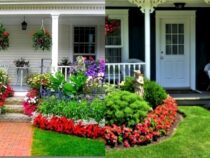 Free Curb Appeal Enhancements: 12 Clever Tricks