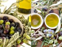 14 Creative Uses for Olive Oil Beyond Cooking (Part 3)