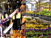 Seamless Home Depot Shopping: Tips for a Stress-Free Visit