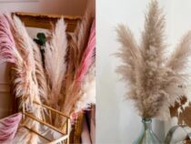 Eye-Popping Ways to Decorate with Pampas Grass at Home