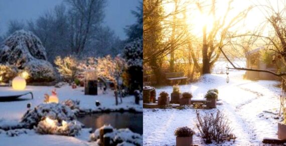 25 Ways to Make the Most of Your Garden in Winter (Part 2)