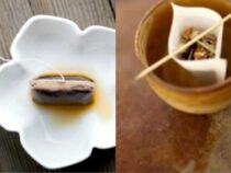 Creative Uses for Used Tea Bags (Part 2)