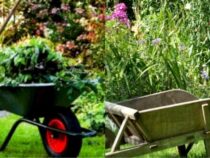 10 Steps to Improve Your Garden for Next Year (Part 2)