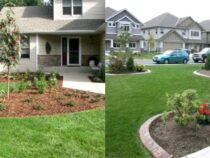 10 Small Front Yard Landscaping Ideas (Part 1)