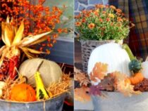 Elevate Your Home with Outdoor Fall Decor Ideas