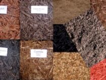 Mulch 101: 13 Types and Tips for Yard Selection (Part 1)