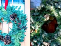 Hanging a Wreath Without Door Damage: Easy Tips