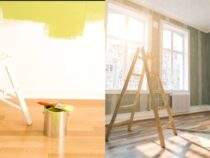 Top Paint Brands and Interior Designers’ Preferred Colors