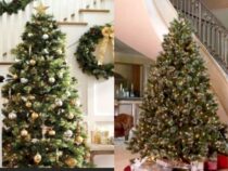Artificial Christmas Trees: Equally Packed