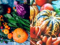 Cold-Resilient Fall Garden Veggies for Thriving Crops