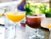 Mimosa Mastery: Classic and Creative Variations