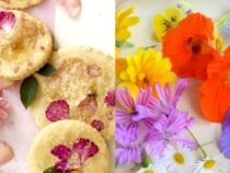 Vibrant and Tasty: Edible Flower Recipes