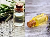 Exploring the Potential of Rosemary Oil for Hair Growth