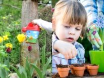 Winter Greenery: Garden Activities to Keep Your Thumb Busy