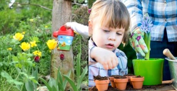 Winter Greenery: Garden Activities to Keep Your Thumb Busy