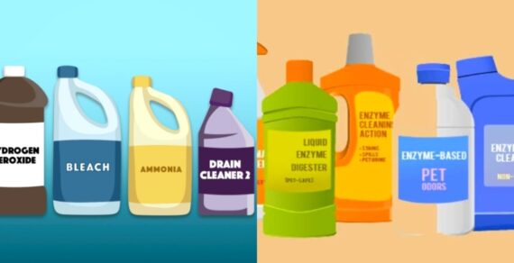 Hazardous Combinations of Common Cleaning Products