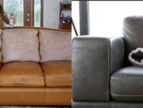 Proper Techniques for Cleaning Your Leather Couch