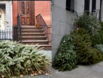 Recycle, Reuse, or Donate Your Artificial Christmas Tree
