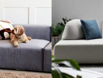 Pet-Friendly Couches for a Stylish and Comfy Home