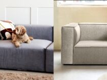 Pet-Friendly Couches for a Stylish and Comfortable Home