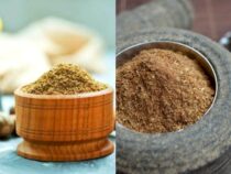 Warming Spice Alternatives: Substitutes for the Classic